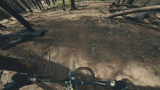 Zahar Berkut - Enduro trail