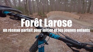 Forêt Larose