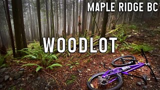 Foggy lap at the Woodlot
