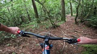Bates @ Mangamahoe MTB Park