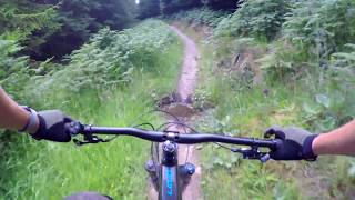 The Dark side of Glentress - mtb - UK