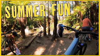 Discover the Best Family Fun on Puarenga...