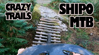 CRAZY TRAILS IN SOUTH WALES! - RIDING GULLY OF...