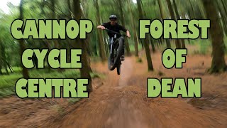 CANNOP CYCLE CENTRE, FOREST OF DEAN - DAY OUT...