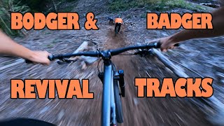 REVIVED BODGER & BADGER MTB TRACKS -...