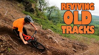 REVIVING OLD MOUNTAIN BIKE TRACKS -...