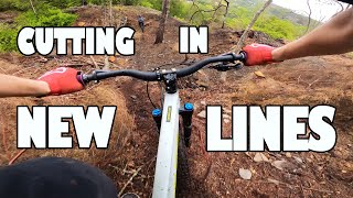 CUTTING IN NEW LINES - SANTACRUZ CHAMELEON...