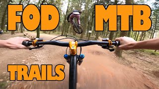 FOREST OF DEAN MTB TRAILS - SPECIALIZED STATUS...
