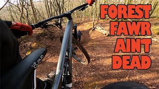FOREST FAWR AIN'T DEAD - MTB IN THE SUN