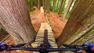 Trying to send everything on BC POV's trail...
