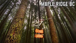Woodlot Flow