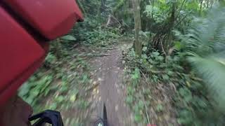Flowripa Enduro Fest - E2 DH da Florestinha
