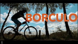 MTB Challenge // Borculo