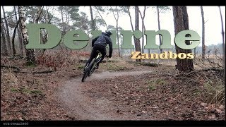 MTB Challenge // Deurne Zandbos