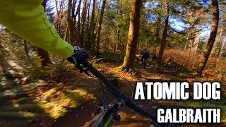 Atomic Dog | Galbraith, Bellingham, WA | MTB