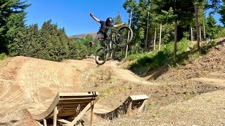 Mcnearly Gnarly + Mini Dream - New Zealand's...