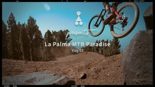 La Palma MTB Paradise