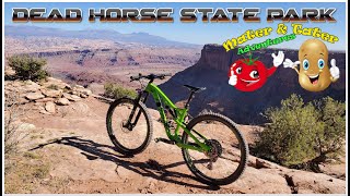 Dead horse discount point mountain biking