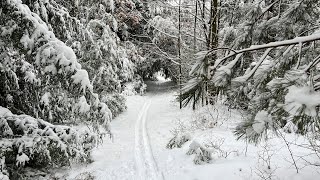 Cross Country Ski - Moss-Hanne Trail, Black...