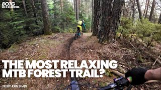Amazing Forest MTB Trail : The Mulch Flow Riders