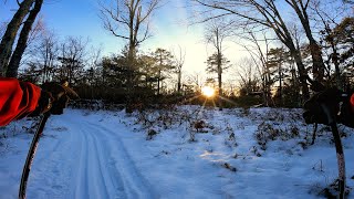 Cross Country Ski - Pitch Pine Loop,...