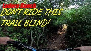 Scorpion Trail Ladera Ranch Mountain Biking 2024