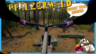 Finding EPIC Secret Trails// The Pfälzerwald...