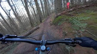 Prime conditions for Yair, Tweed Valley