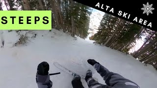 Testing My New Skis in Utah's Best Snow!