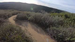 BD on my Stumpjumper Evo 29 1/18/24