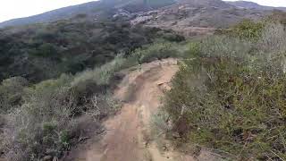 Val on my Stumpjumper Evo 29 1/18/24