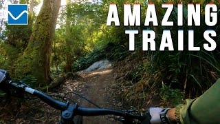Incredible scenery and trails | Blue Derby