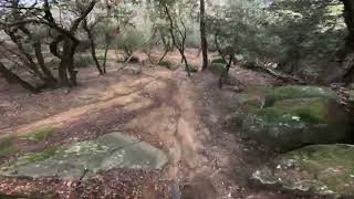LA BALENA - Mítica bajada de enduro/DH en...