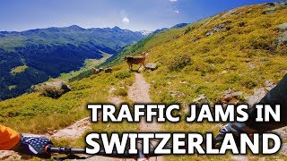 Jakobshorn to Teufi | Davos, Switzerland | MTB