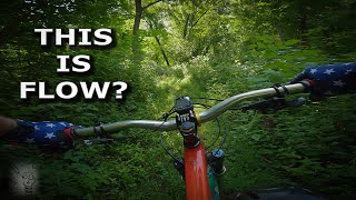 Mountain Biking Flow Trails | The Search for...