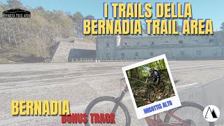 Bernadia Trail Area Micottis ST Alto RAW...