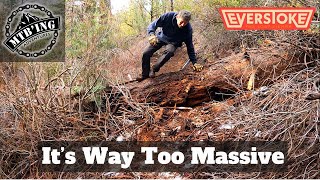 Insane Amount Of Trail Building - APT Is...