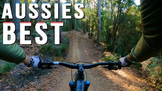 Getting more SERIOUS | Blue Derby