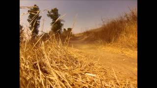 Mtb In Lachish