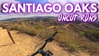Would You Thrive or Barely Survive My Home Trails?