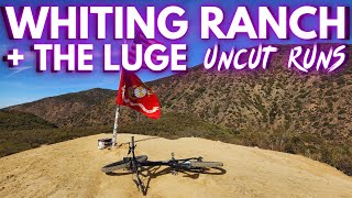 Could You Endure These 2 Classic Loops in One...