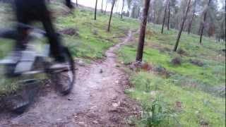8.5 year all Mountain racer