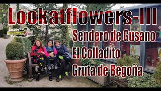 Lookatflowers III - Senda de...