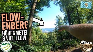 COLLENBERG Co1 Rundstrecke: lang, flowig &...