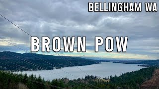 Bellingham Brown Pow!
