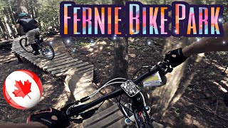 Fernie DH Park || Scott Genius || Evo SS