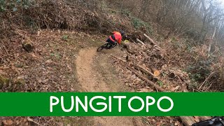 MTB 4 Venti 03.02.2024 sentiero PUNGITOPO