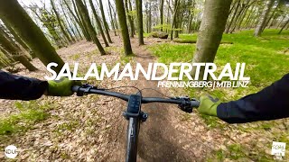 Salamandertrail - New Strava PR | Santa Cruz...