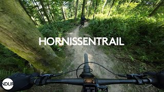 Hornissentrail Juli 2023