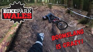 Winter at BIKE PARK WALES! Crashes and Trains!